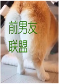前男友联系你是什么心理