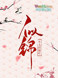 似锦小说简介