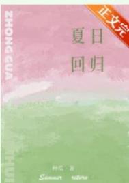 夏日回声小说简介