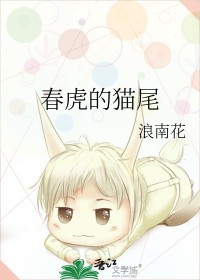春虎保养车环境