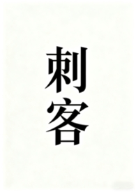 刺客 在线阅读