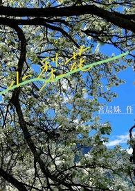 小梨花适合家养吗