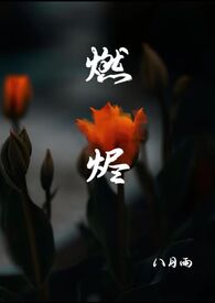 燃烬云墨凤兮txt下载百度网盘